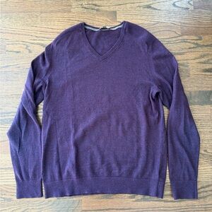 Men's Express Purple V-Neck Sweater